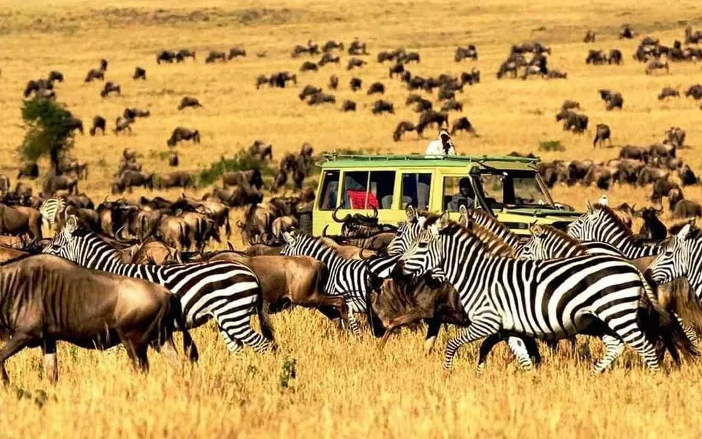 10-day Kenya Culture & Wildlife Safari