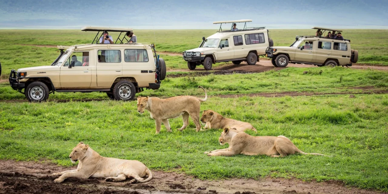 Experience Kenya and Tanzania Budget Safari