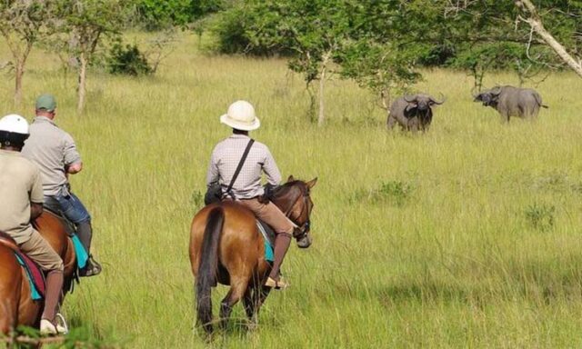 Uganda safari with kids