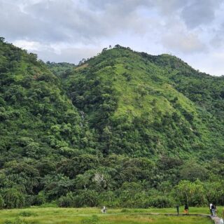 photo_5922654859625089015_y