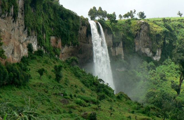 Sipi Falls coffee tour