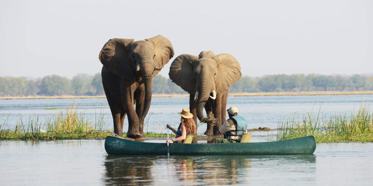 Sustainable Safari: How to Travel Eco-Friendly in East Africa