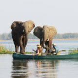 Eco-friendly safari Uganda